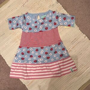 Lilly + Sid Strawberries and Stripes Dress NWT 0-3mo